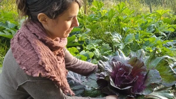Lerngarten für nachhaltige Ernährung